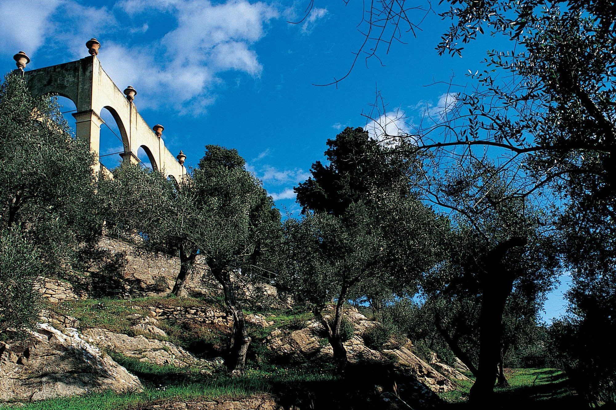 Bagni Di Pisa Palace & Thermal Spa - The Leading Hotels Of The World San Giuliano Terme Létesítmények fotó Olive trees in the hills of Andalusia